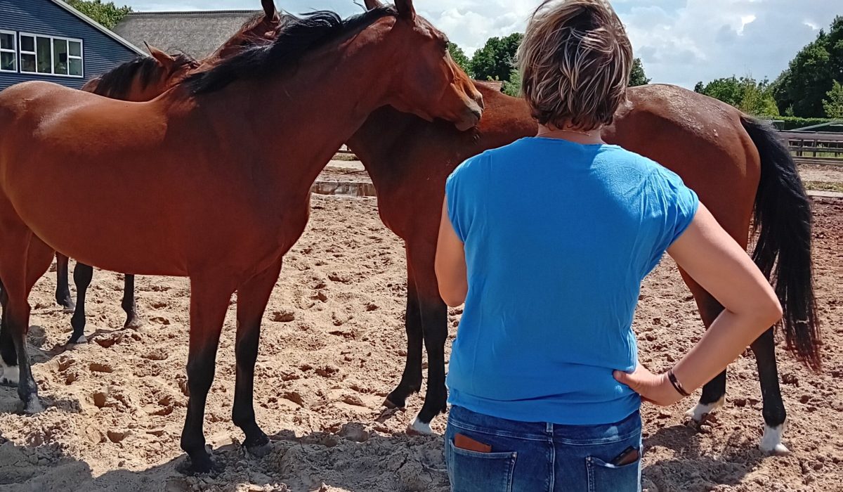 Je-plek-innemen2 Je-plek-innemen2